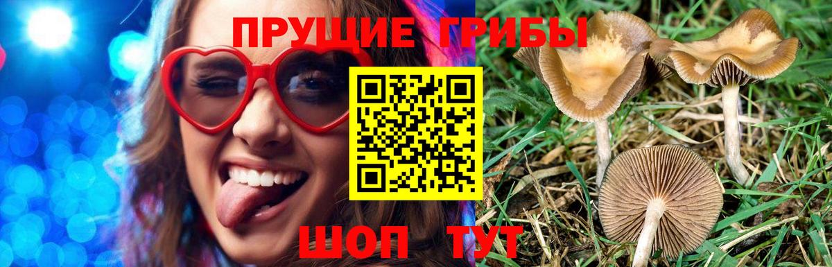 Галлюциногенные грибы прущие грибы Белово