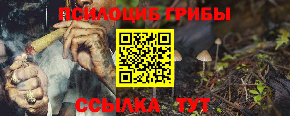 Псилоцибиновые грибы MAGIC MUSHROOMS  Псилоцибиновые грибы мицелий  Вход с VPN  Белово 